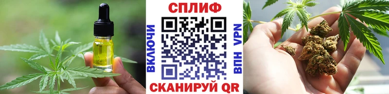 Cannafood конопля  Купить где  Вилючинск 
