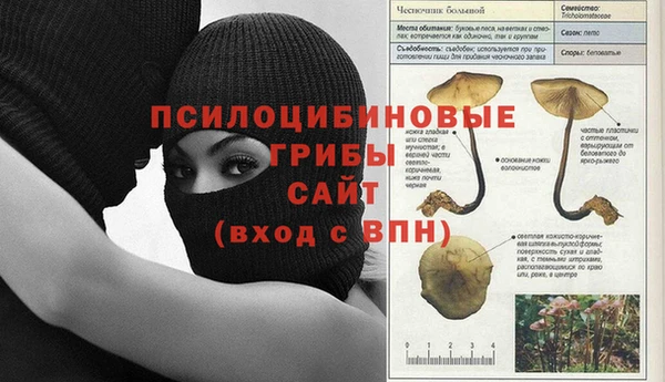 а пвп мука Бородино