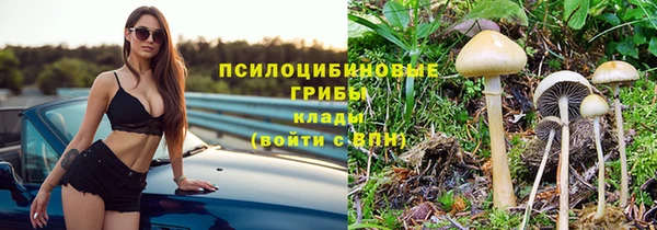 марки lsd Бугульма