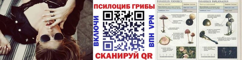 Купить  Вилючинск  Псилоцибиновые грибы прущие грибы 